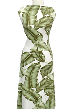 Load image into Gallery viewer, Monstera in Sage - $20 pm - Double Brushed Poly