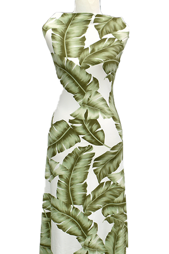 Monstera in Sage - $20 pm - Double Brushed Poly