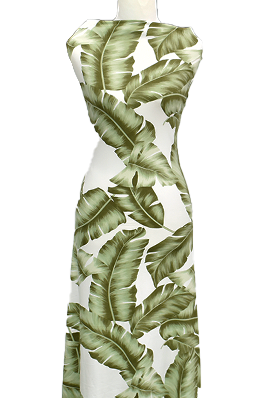 Monstera in Sage - $20 pm - Double Brushed Poly